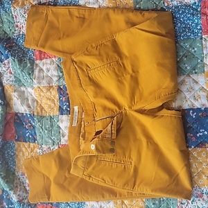 Ann Taylor loft corduroy pants size 4 mustard yellow